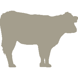 cow icon