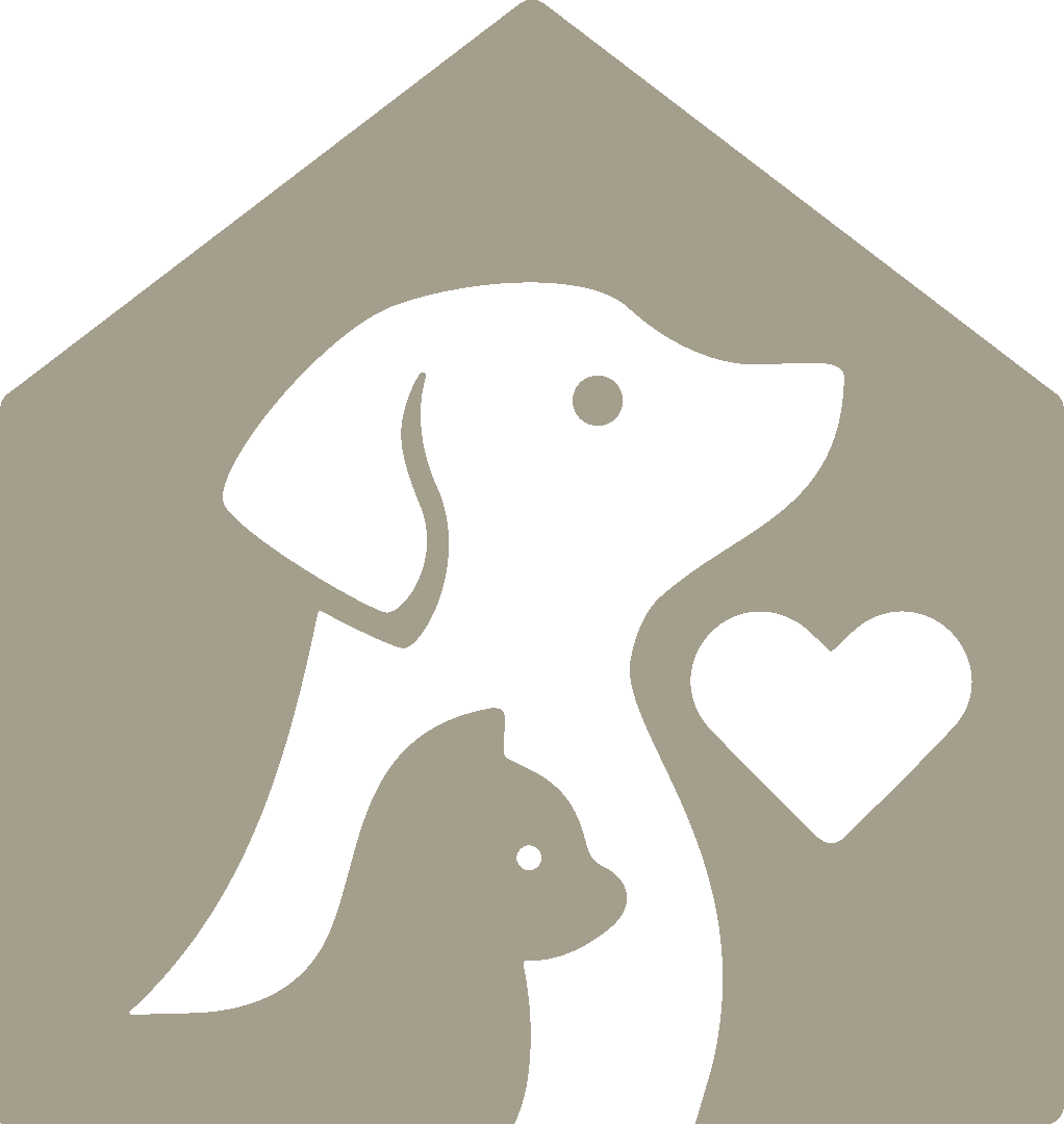 dog and cat